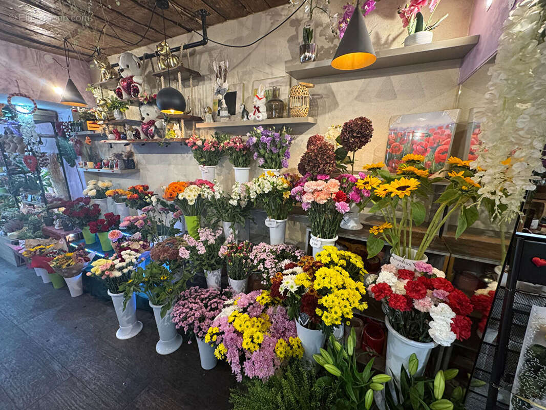 Autre à CAGNES-SUR-MER