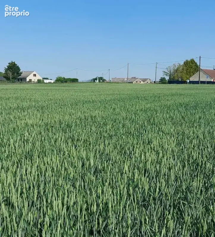 Terrain à PUISEAUX