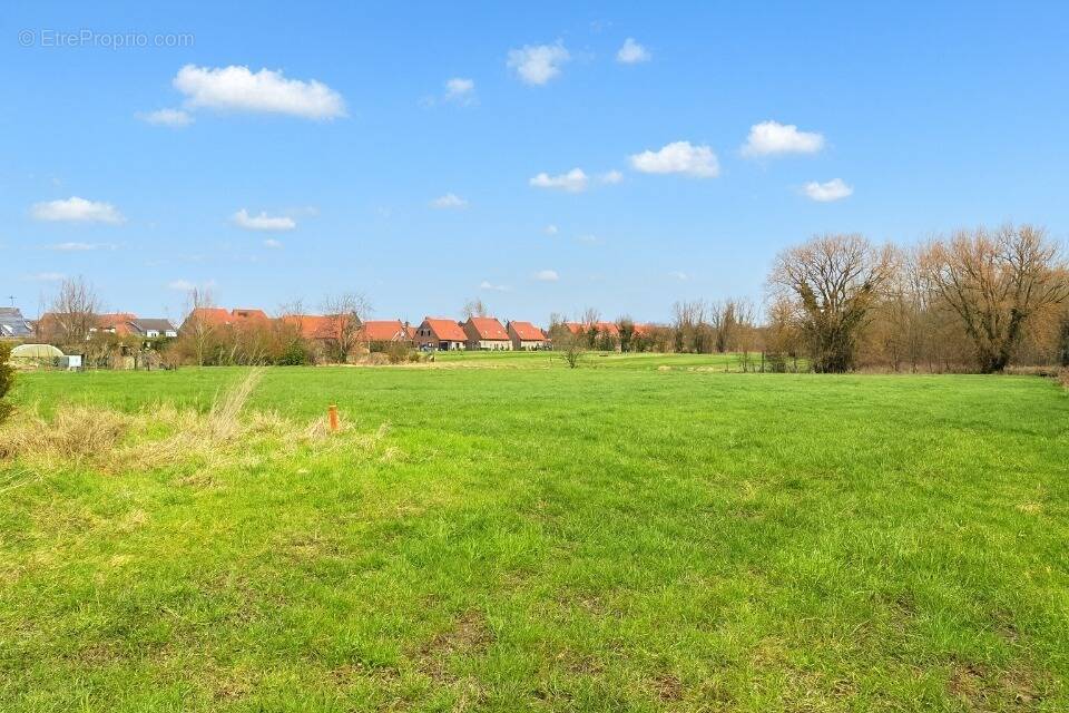 Terrain à TOURMIGNIES