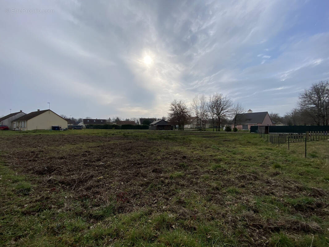 Terrain à LA FERTE-IMBAULT
