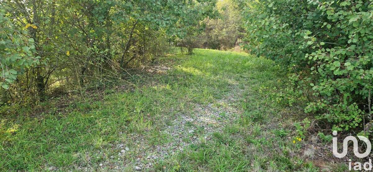 Photo 4 - Terrain à VILLAC