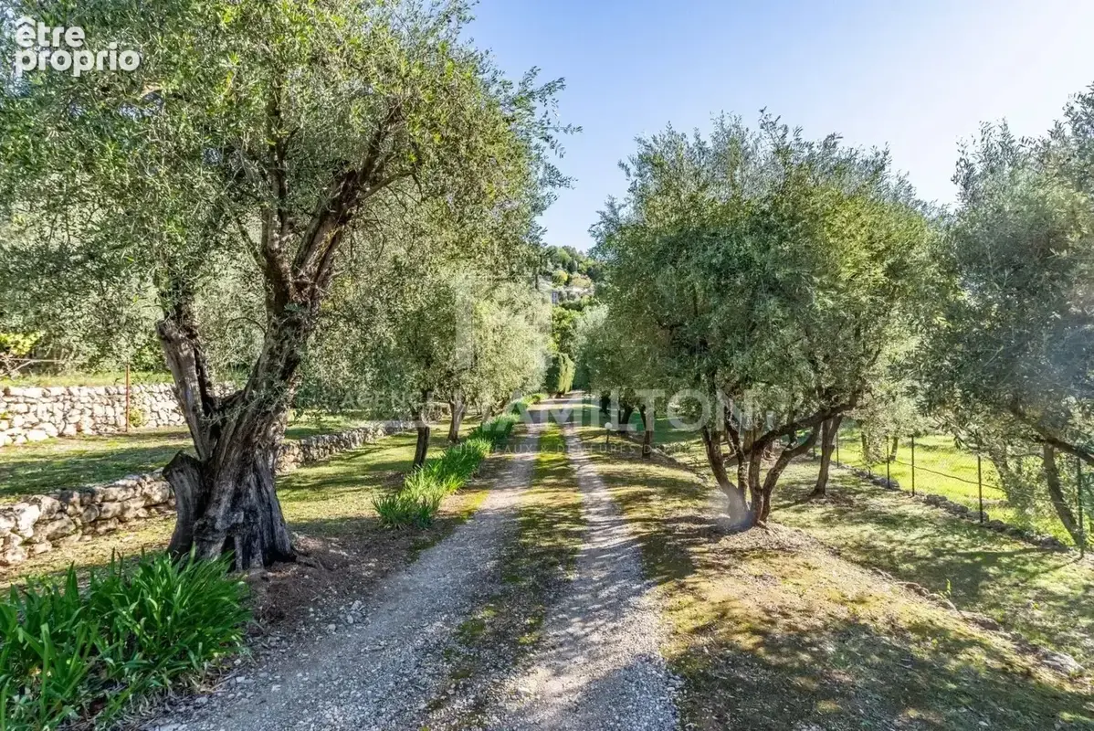 Magnifique propriété de 2 maisons au calme absolu - photo 13