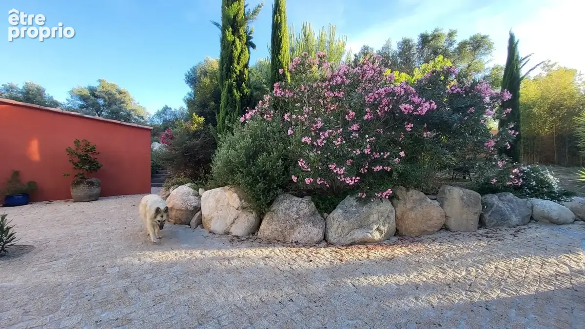 Maison 6 pièces 213 m² à vendre à Peri (20167) - photo 3