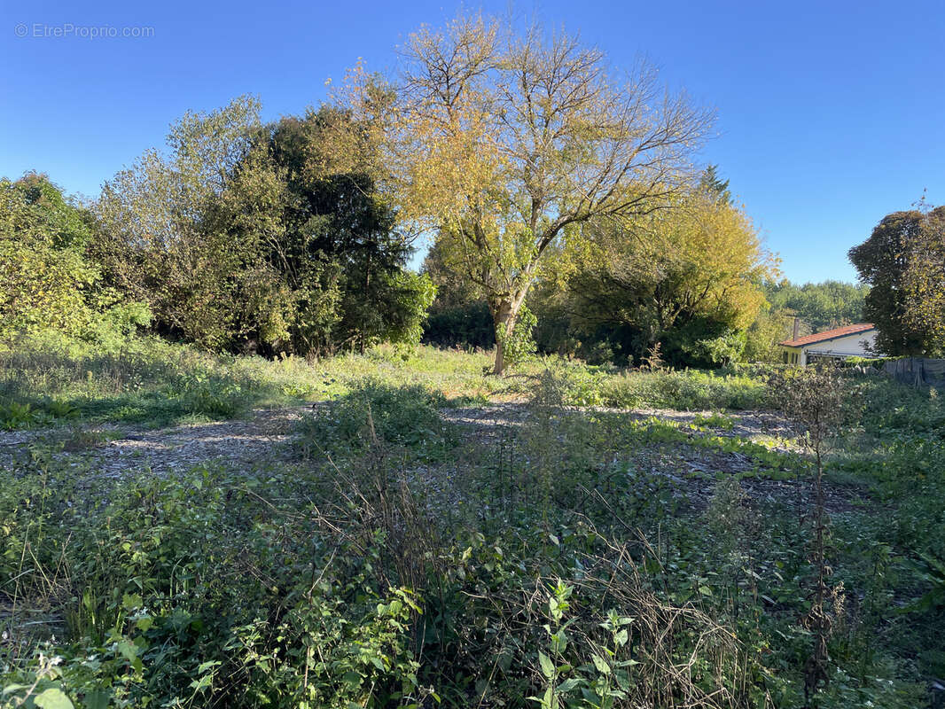 Terrain à CAMARSAC