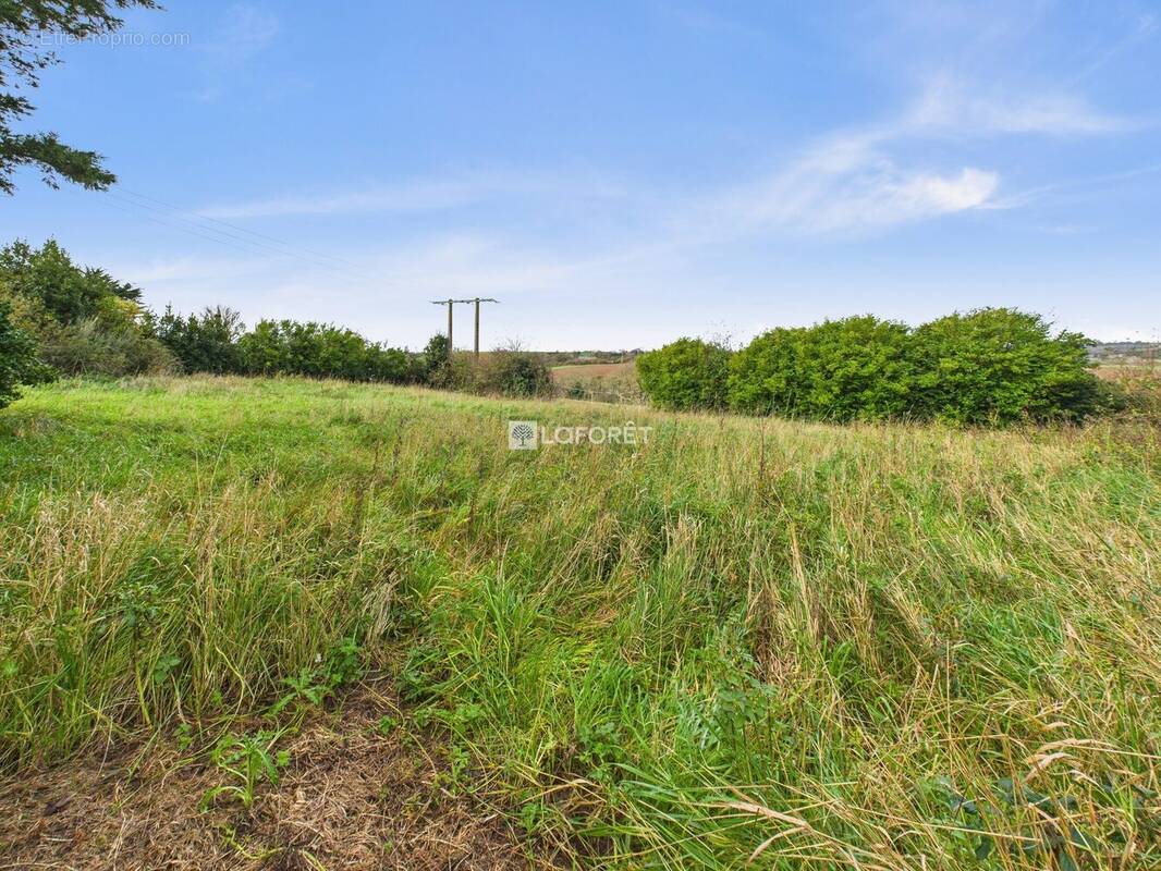 Terrain à SAINT-NIC