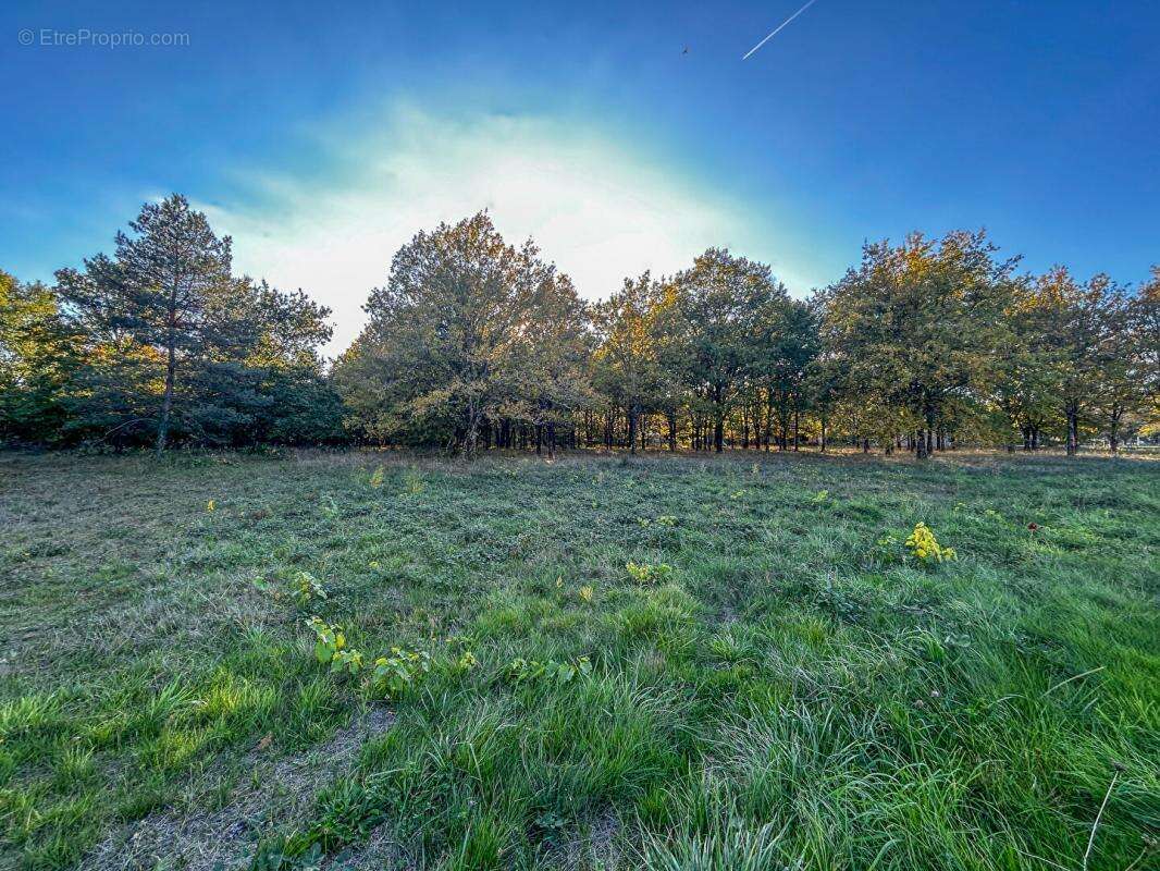 Terrain à LANGON