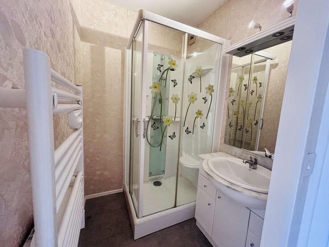 Appartement à ROANNE