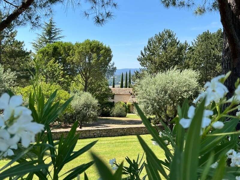 Domaine d'exception au cœur du Luberon - photo 27