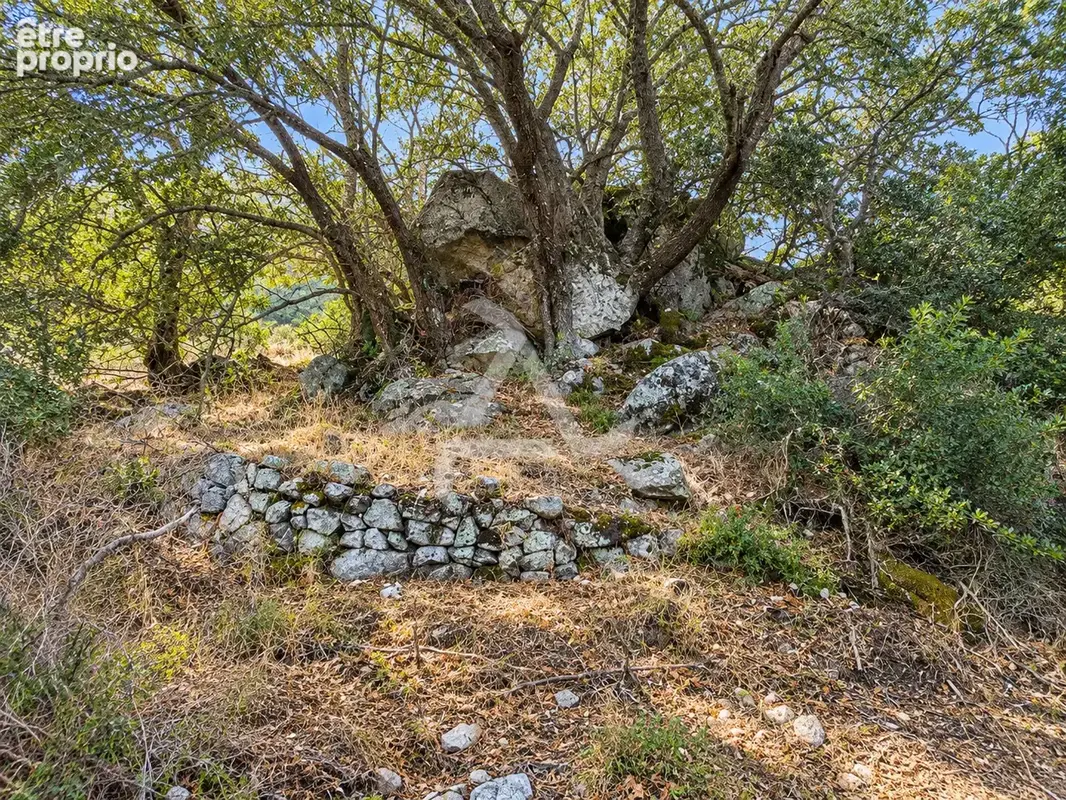 À seulement 3 min de porto-vecchio   terrain de 18 830 m2 avec pc purgé pour villa de 195 m2 avec piscine - photo 6