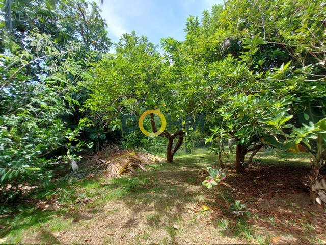 Maison à SAINT-JOSEPH