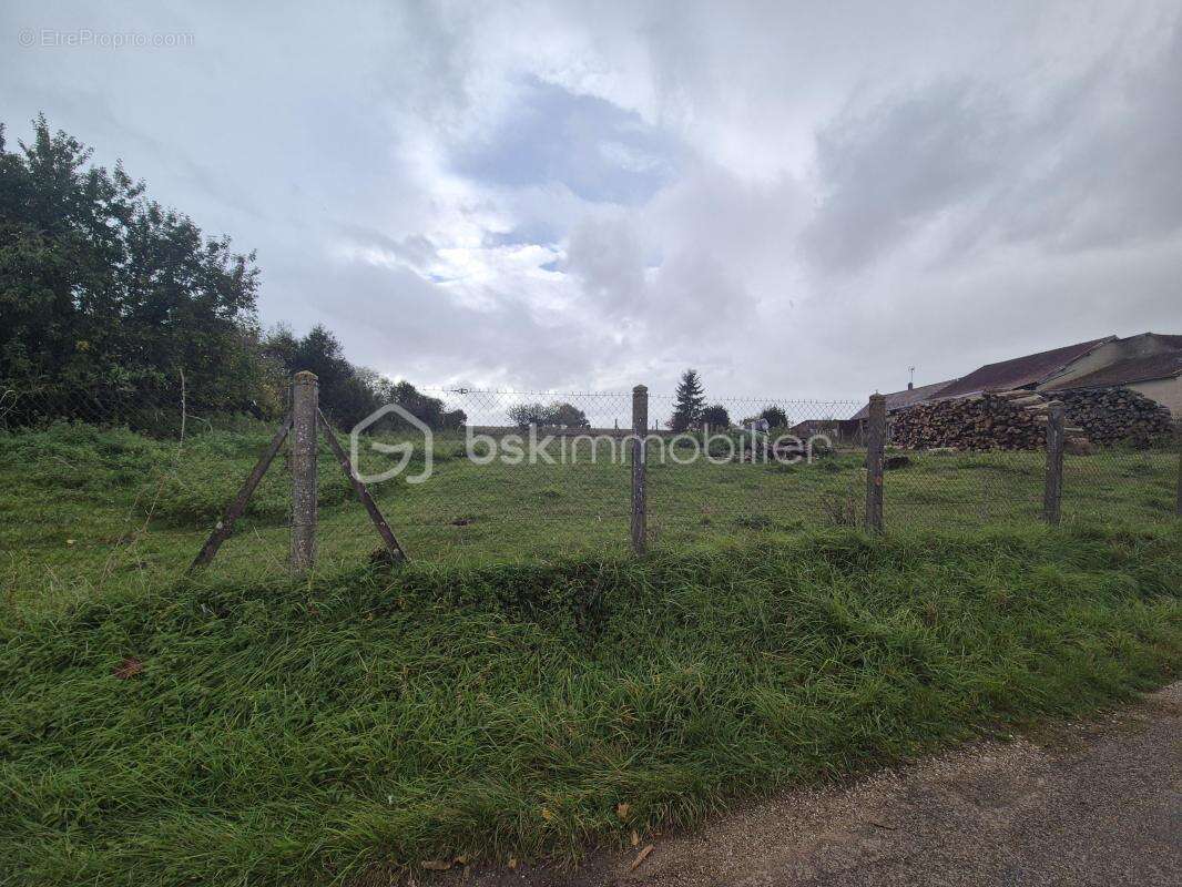 Terrain à CHAMPLOST