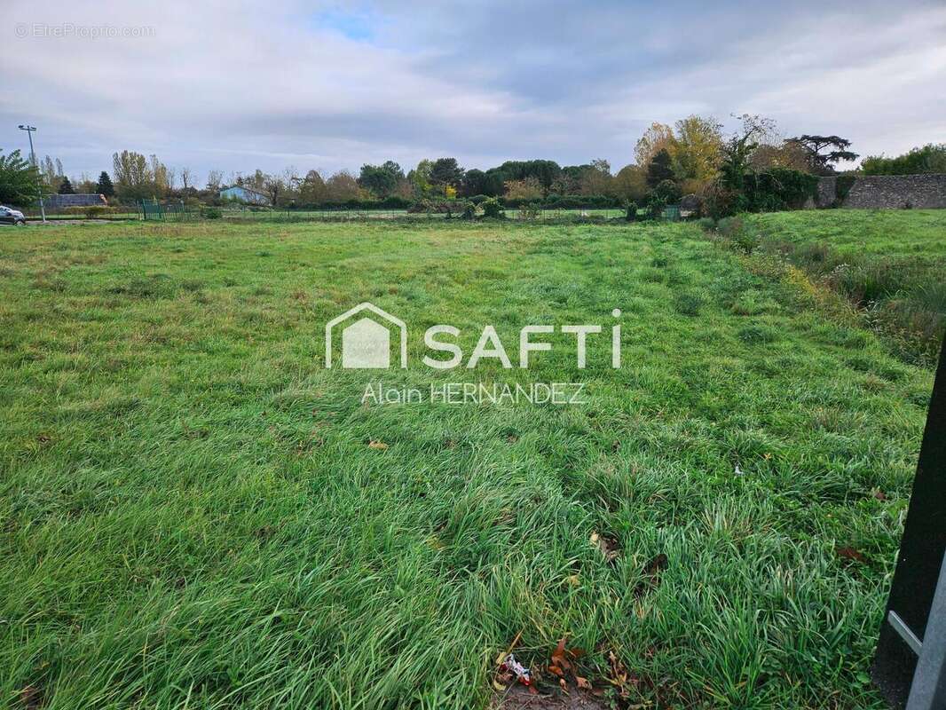 Photo 4 - Terrain à MARTRES-TOLOSANE