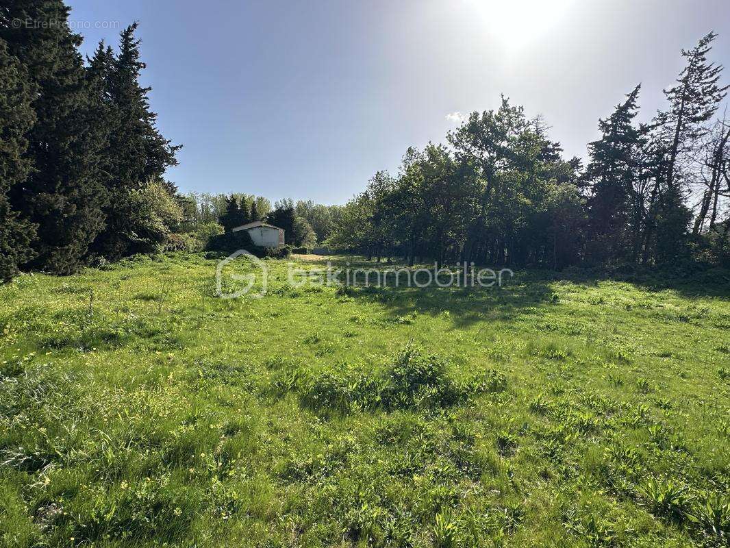 Appartement à MONTFRIN