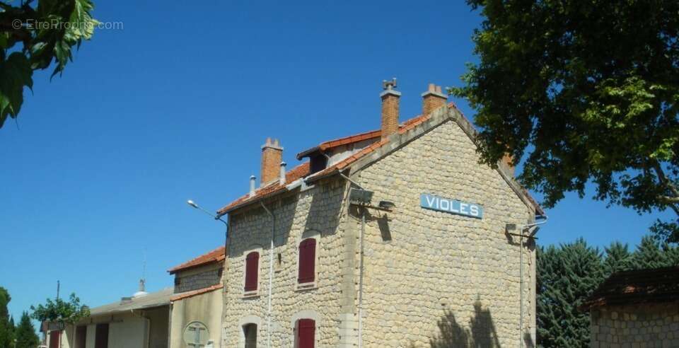 Terrain à VIOLES