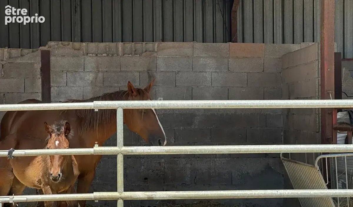 Centre equestre avec manege couvert et cabinet d'equitherapie - photo 12