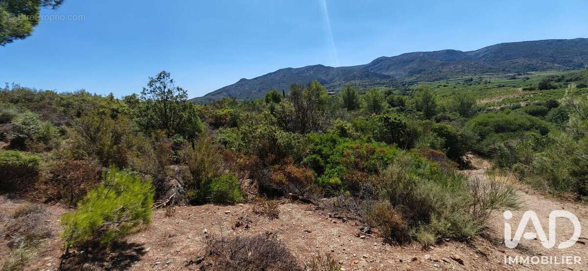 Terrain 9404 m² à Embres-Et-Castelmaure  - photo 2