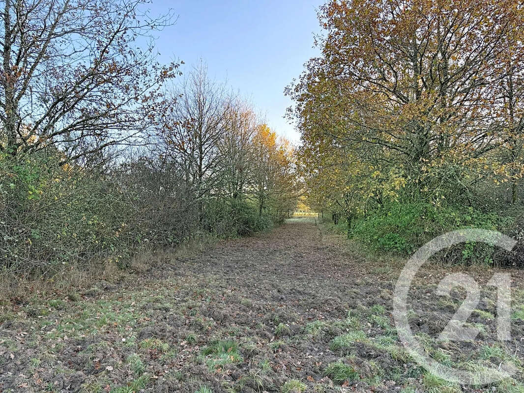 Maison à MENESTREAU-EN-VILLETTE