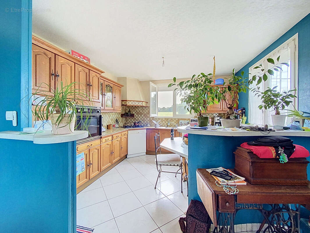 Vente maison campagne noyal-muzillac - 3km des commerces - photo 6
