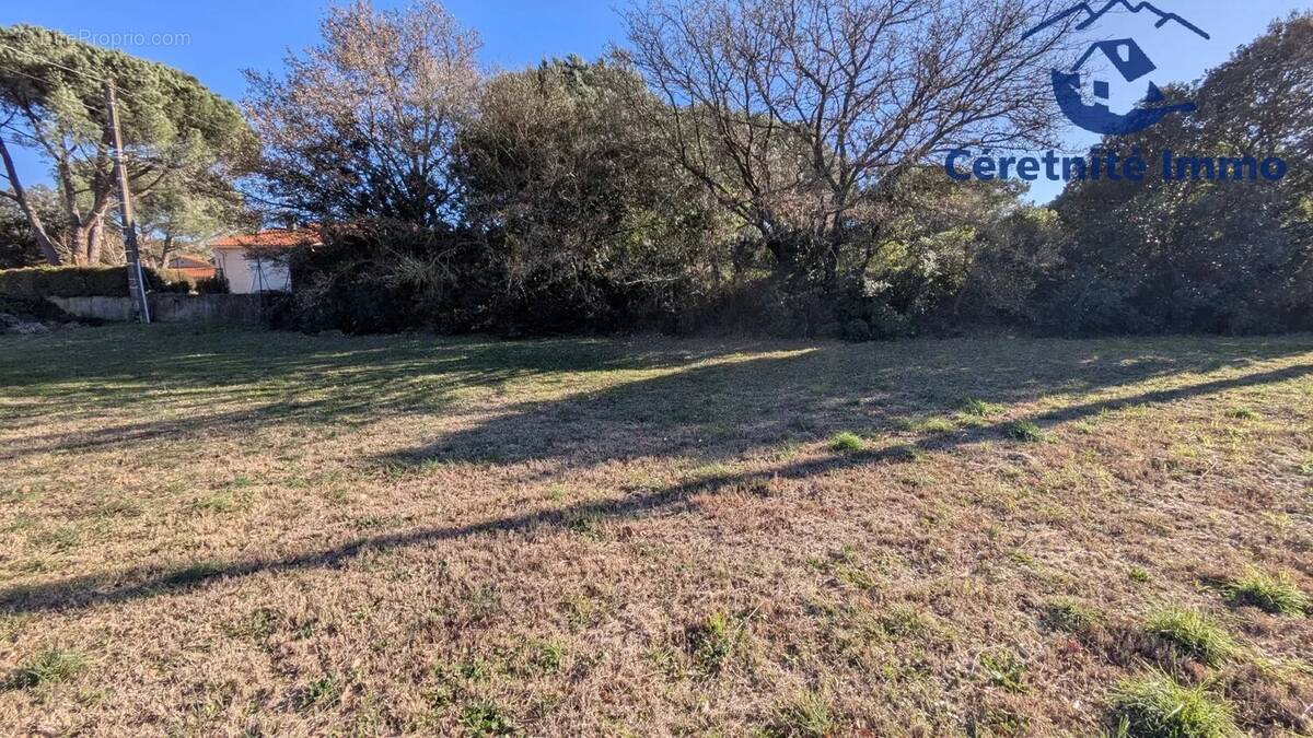 Terrain à MAUREILLAS-LAS-ILLAS