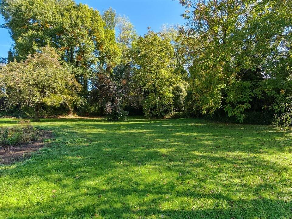 Terrain à LONGUEVILLE