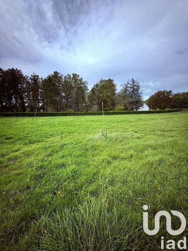 Photo 3 - Terrain à CHARBUY