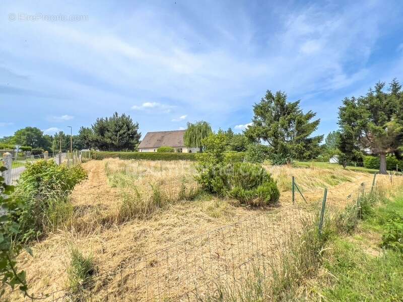 Terrain à BERVILLE-SUR-MER