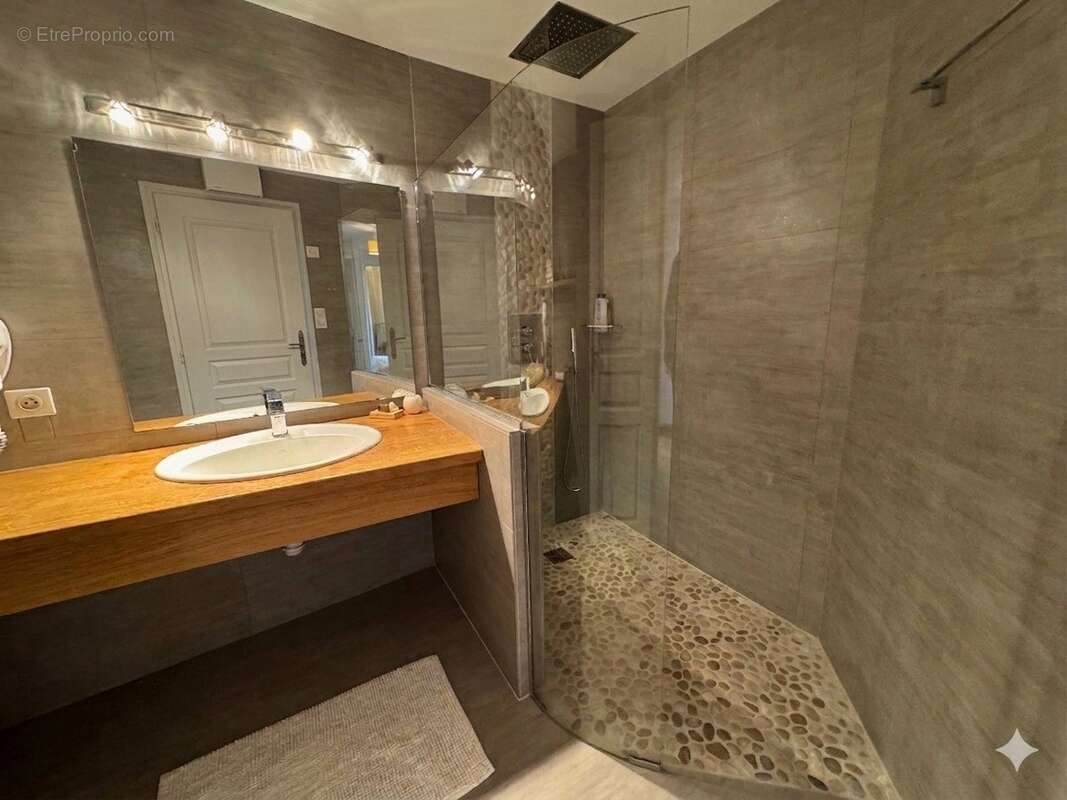 Propriété de 415 m² avec gîte et espace bien être - photo 7