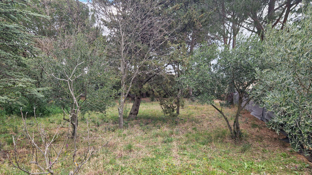 Terrain à SAINT-JEAN-DE-FOS