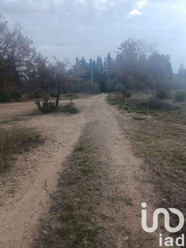 Photo 8 - Terrain à ORTAFFA