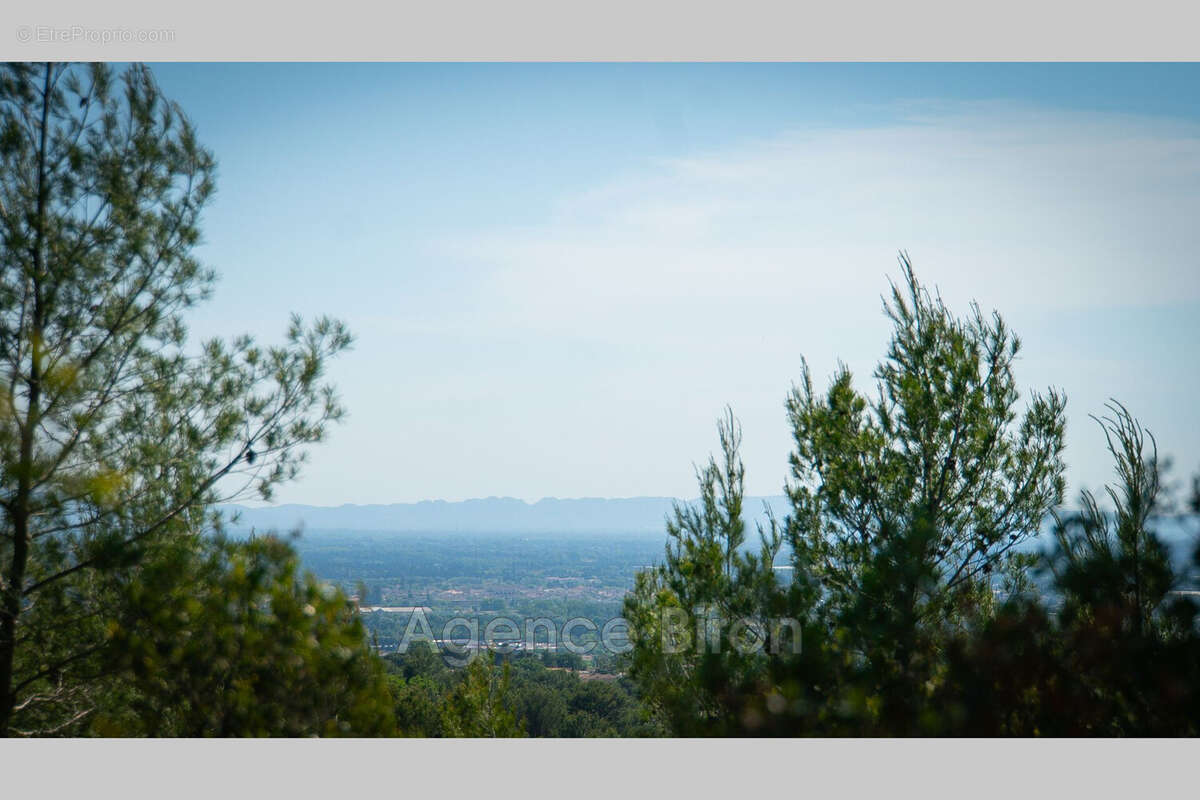 Maison 700 m² à L'isle-Sur-La-Sorgue  - photo 5