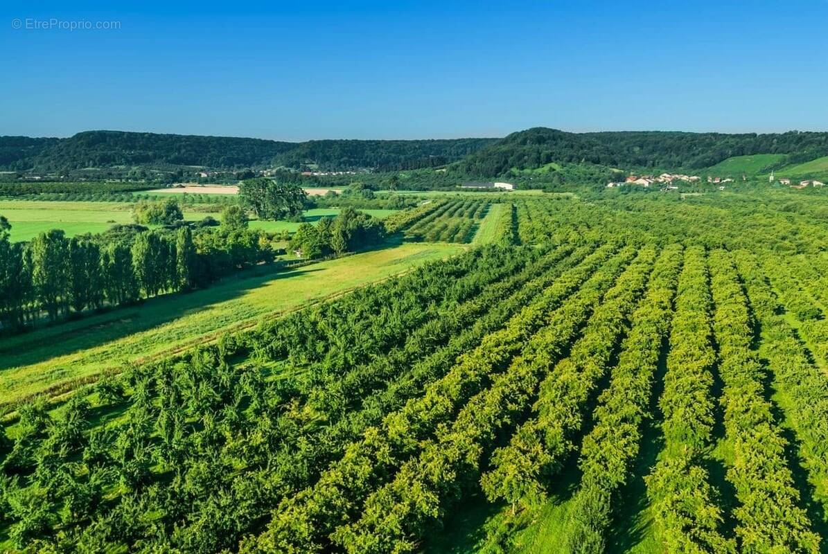 Terrain à LA ROCHE-SUR-YON