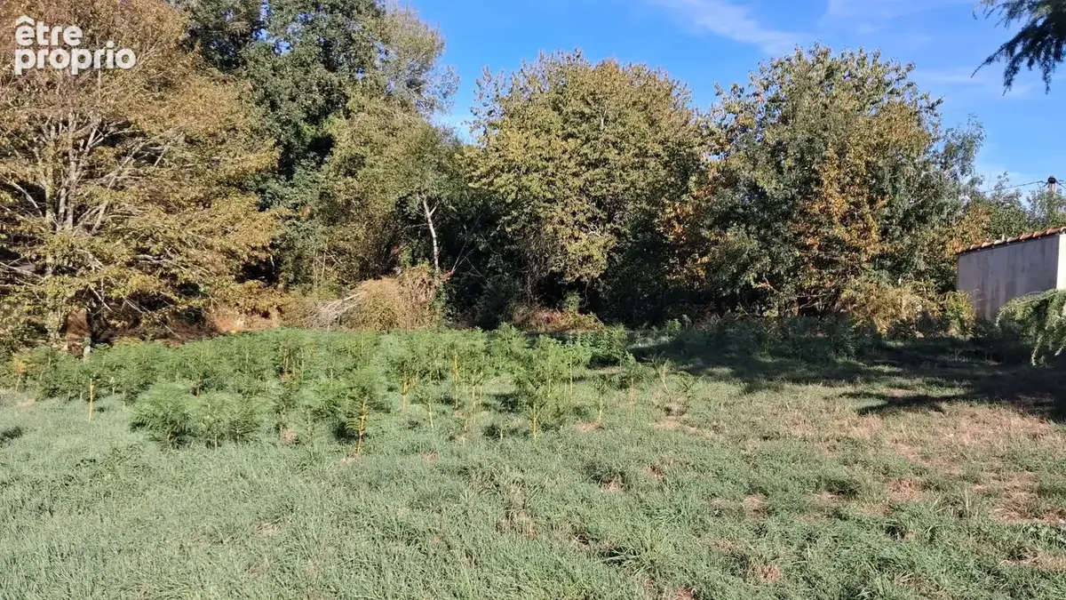 Terrain à bâtir de 3000 m² à SAINT-JULIEN-DES-LANDES (85) - photo 3