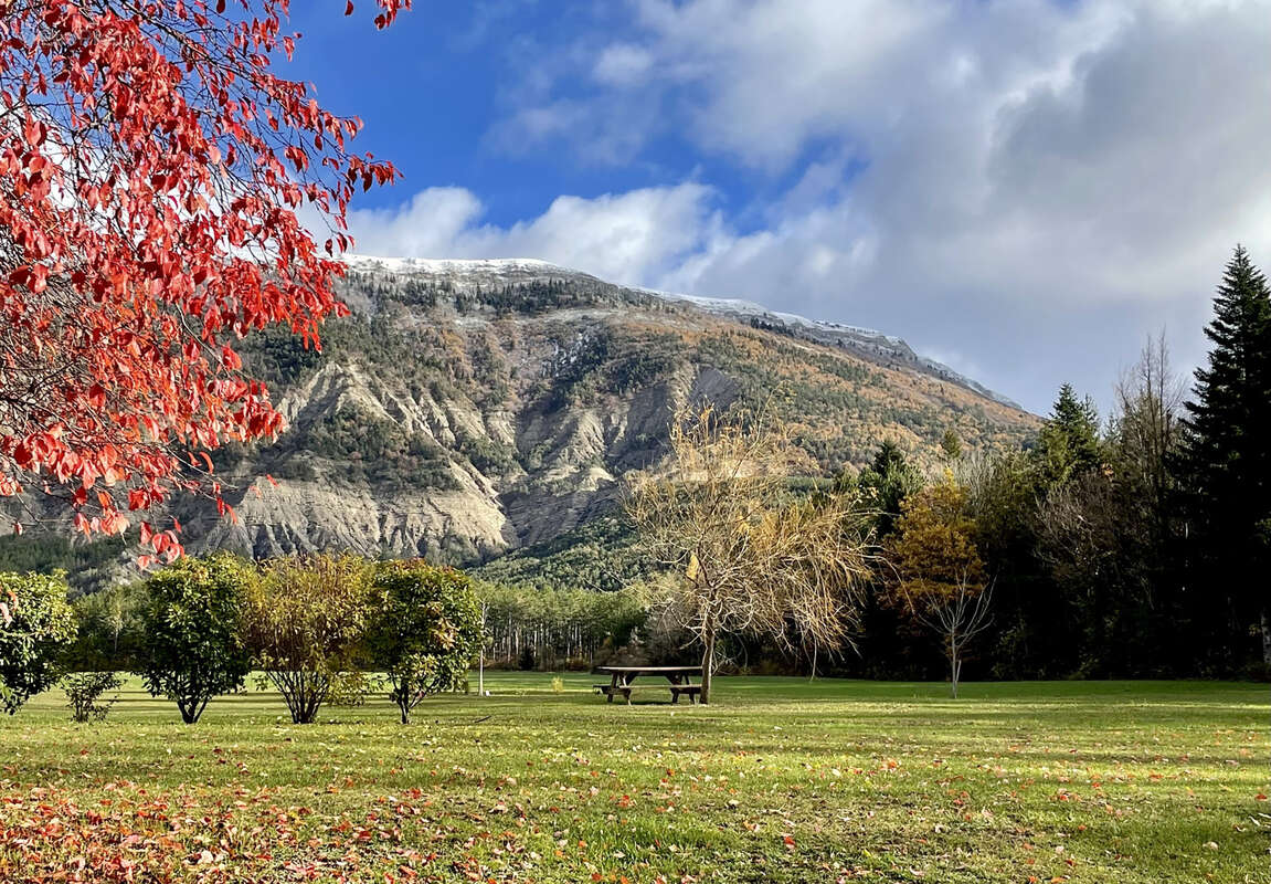 Commerce à SAINT-PIERRE-D'ARGENCON