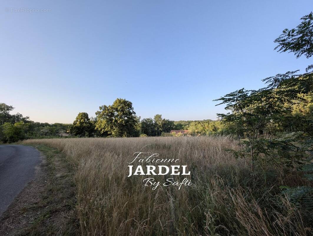 Photo 1 - Terrain à SAINT-MARTIAL-DE-NABIRAT