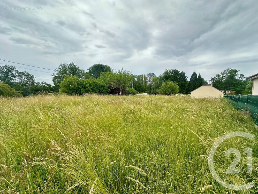 Terrain à BUCHERES