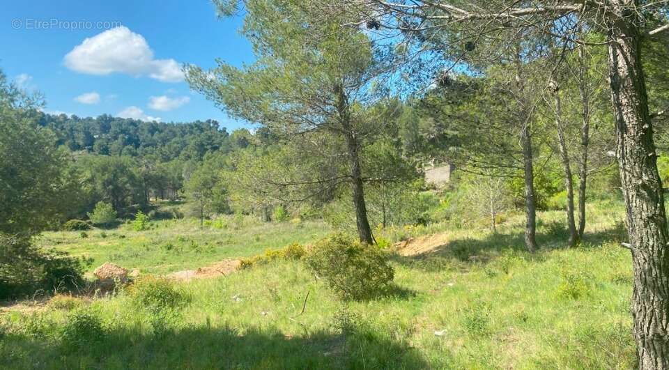 Terrain à BIZE-MINERVOIS