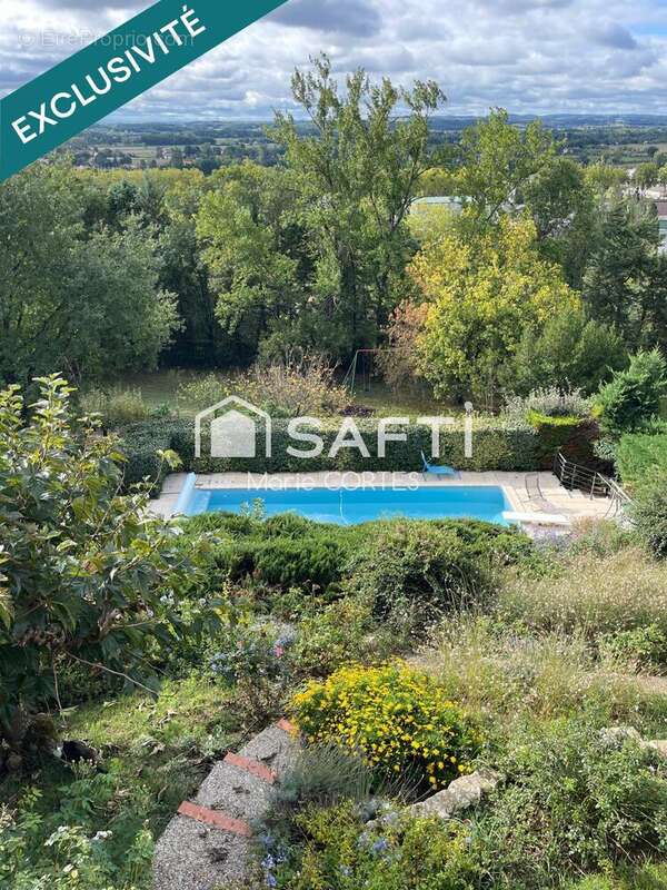 Photo 4 - Maison à ALBI