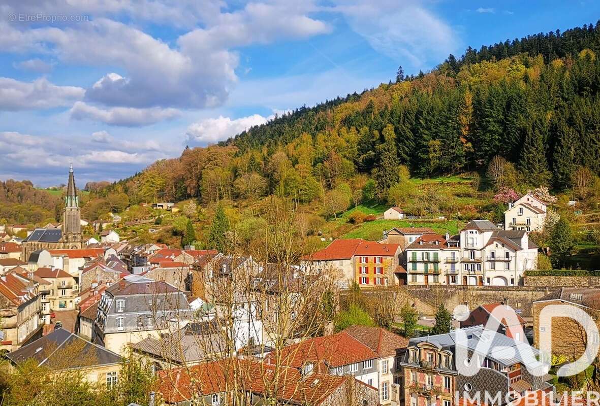 Photo 4 - Appartement à PLOMBIERES-LES-BAINS