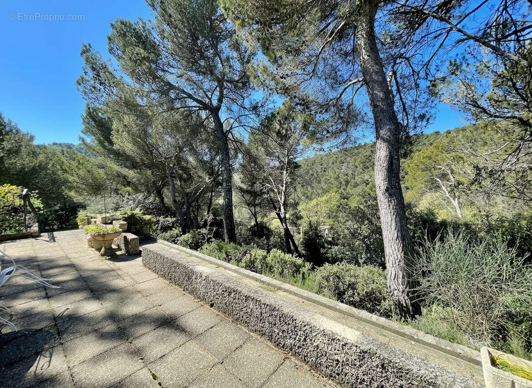 Vaison la romaine - maison avec piscine et terrain arbore - photo 4