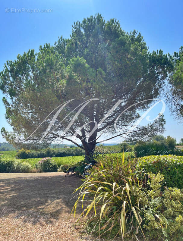 Longère avec vue fantastique  (33) - photo 8