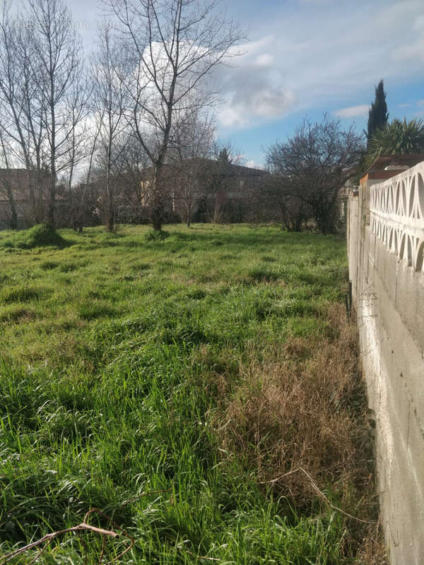 Terrain à TOULOUSE