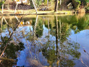 Maison à LA TESTE-DE-BUCH