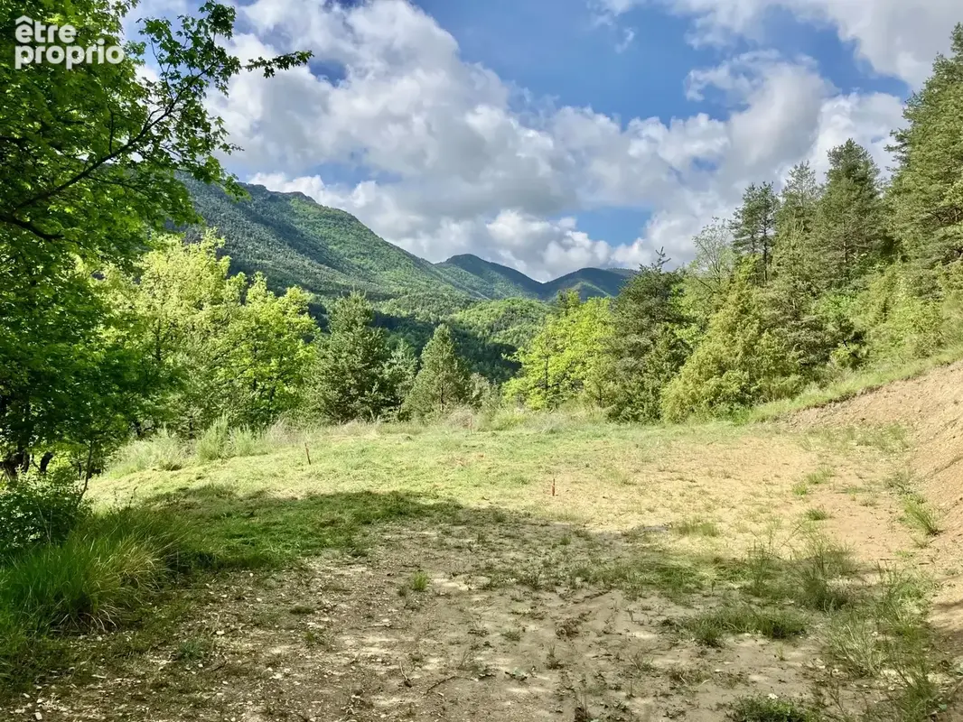 Dpt Alpes de Haute Provence (04), à vendre Proche ENTREVAUX Superbe terrain de plus d'un hectare avec vue montagnes - photo 2