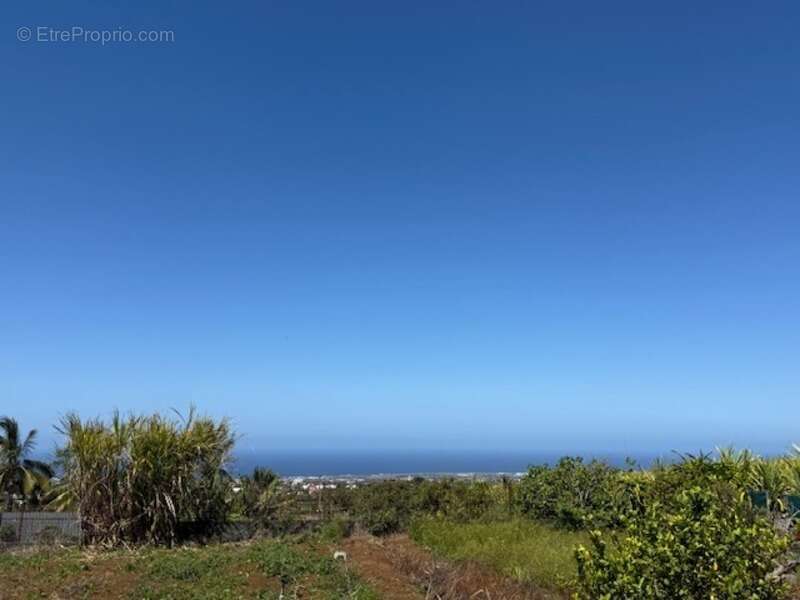 Maison à SAINT-PIERRE