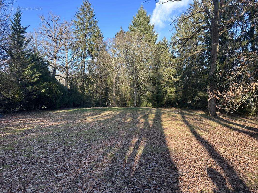 Terrain à LAMORLAYE