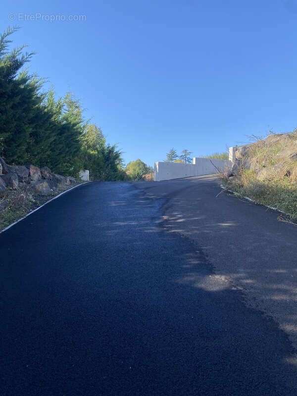 Terrain à LA ROCHE-BLANCHE