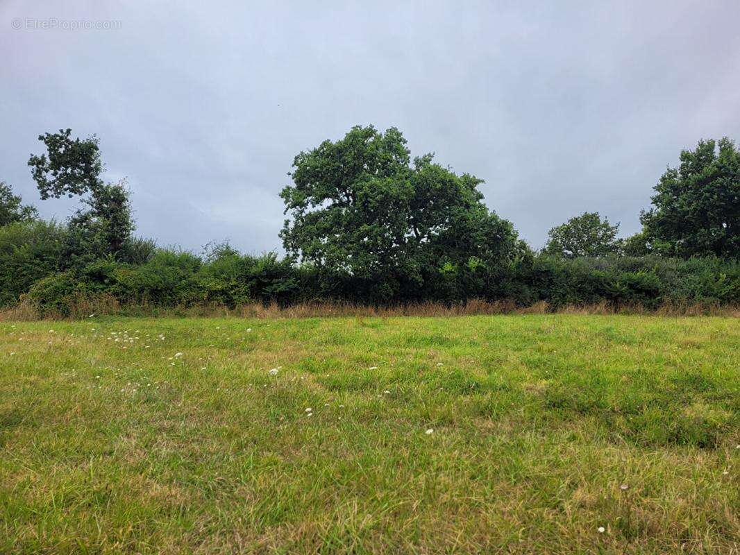 Terrain à FOUESNANT