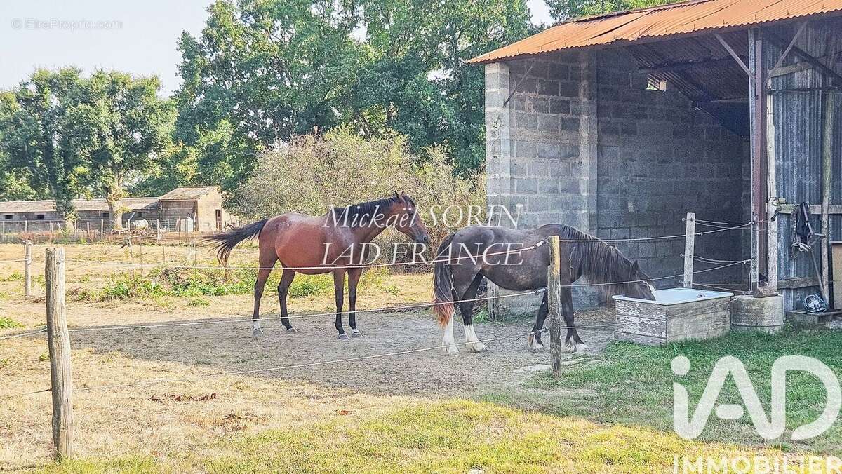 Photo 3 - Maison à LA CHAIZE-LE-VICOMTE