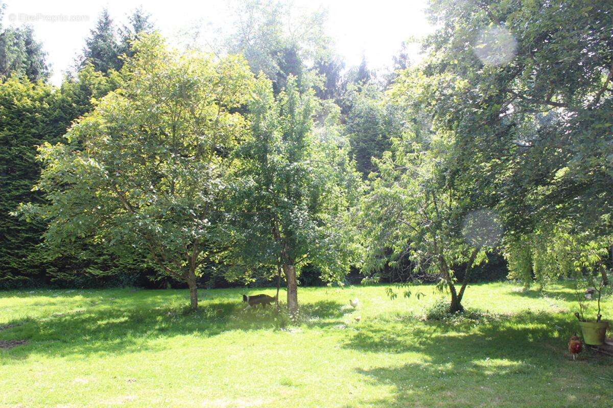 Maison à TRESSIGNAUX