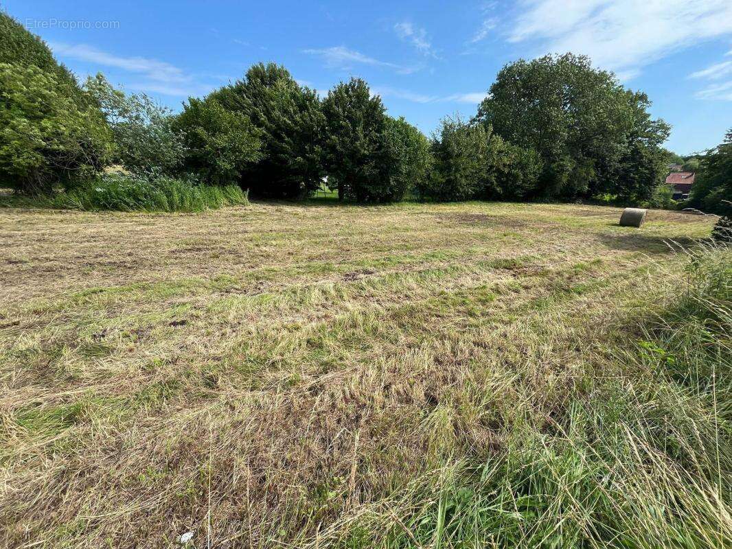 TERRAIN 1,31 HA OAP n°3 - Terrain à bâtir (projets) - photo 3